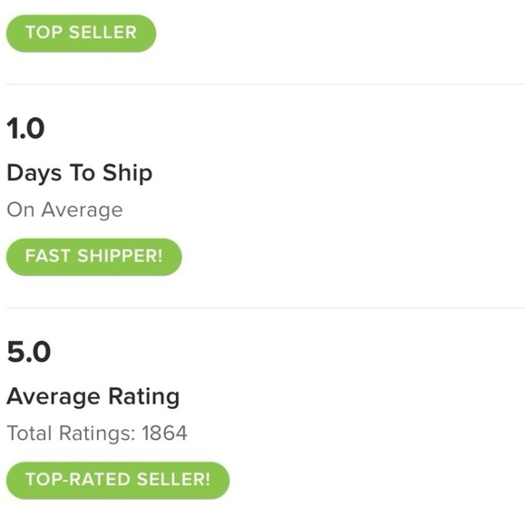 NEW Joie Carla Linen Blend Pant Pull On Drawstring Waist Small - Picture 10 of 10